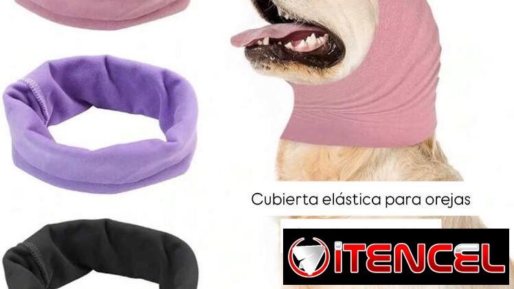 Orejera-Biberones-Jeringas para medicamentos-Bebederos