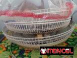 Caretas y Paletas de Ventiladores