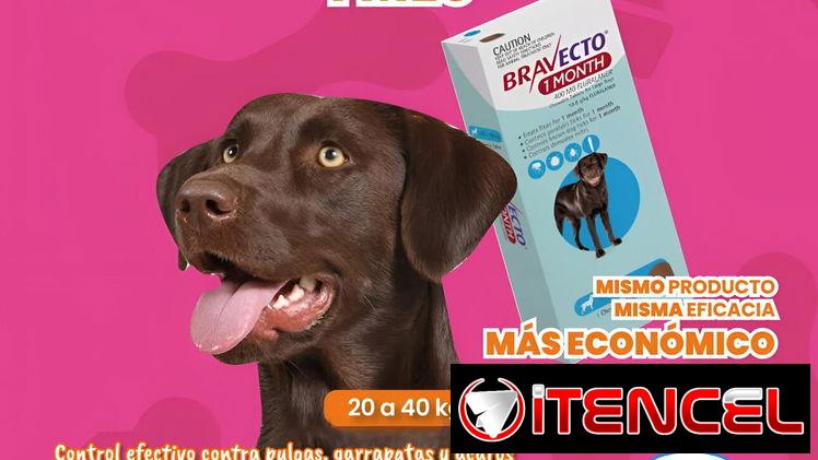 Bravecto 1M 20-40kg