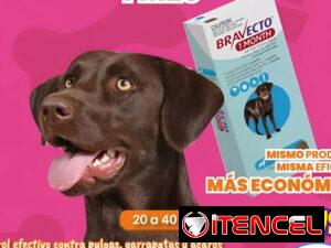 09c4c326db1cc749133f20a592cef36c142896df0bea1c8f66e4a27656c06580