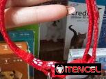 COLLAR PEQUEÑO CON CASCABEL