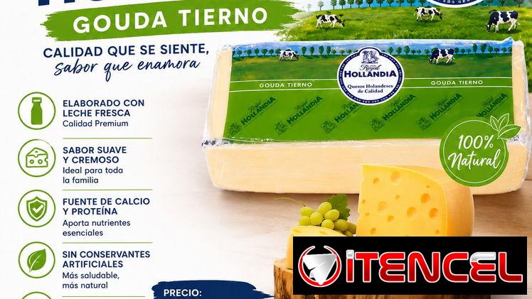 Venta de queso gouda