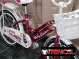 Bicicleta 20