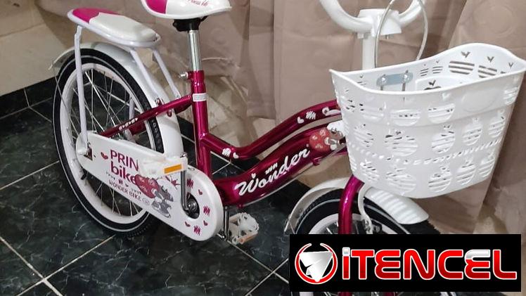 Bicicleta 20
