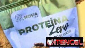 Whey Protein 33 servicios B. Nova