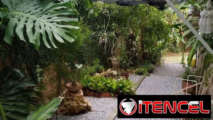 jardinería y mantenimiento de exteriores