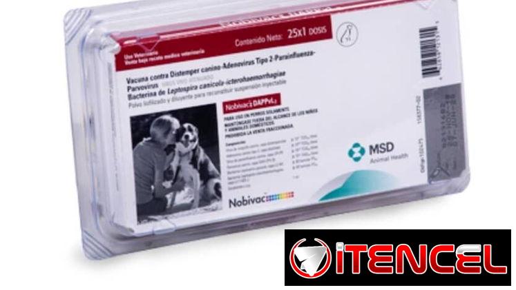 Vacunas pentavalentes y hexavalentes