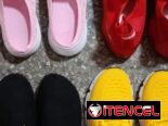 Calzado Femenino. Zapatillas.