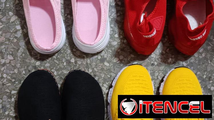 Calzado Femenino. Zapatillas.