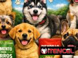 Variedades de cachorros de raza 😍