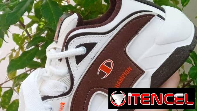 Tenis champion de todos los modelos