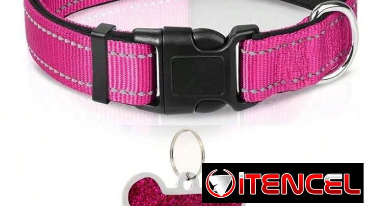 collares con chapita