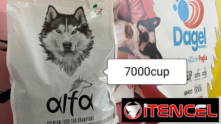 Pienso para perros marca Alfa tengo para cachorros y adultos de 4kg y 20kg