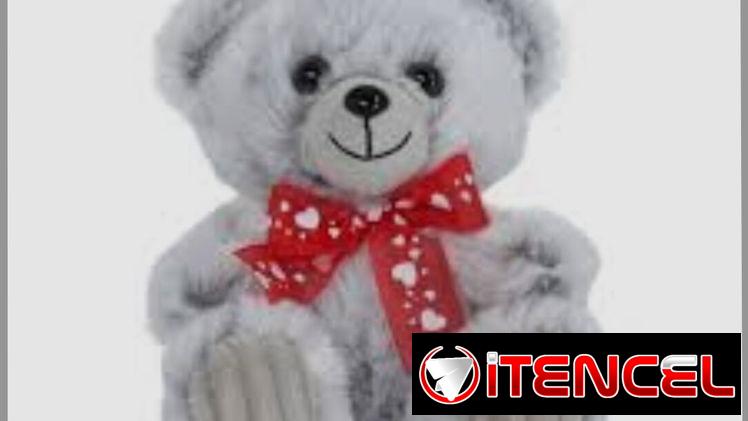 Oso de peluche, caja de regalo, farol chino con bombones, cartera de kuromi