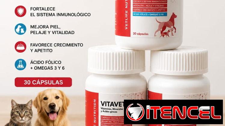 Vitavet (Omega 3, 6 y Multivitaminas y minerales)