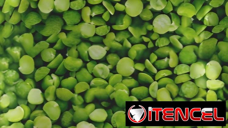 Chícharos verdes1kg