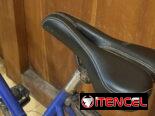 Bicicleta boomerang
