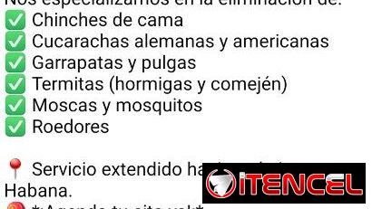 Fumigación Y Control De Plagas