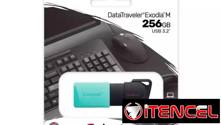Memorias Flash – Discos Duros – USB – Tarjetas Micro SD (Kinetica)