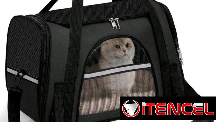 Transportadora semirrígida talla L