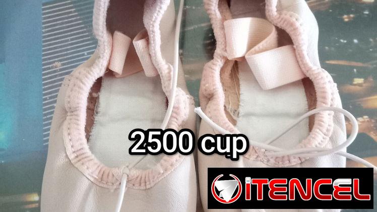Leotars (body) y zapatillas excelente estado para niñas 2-3 años de