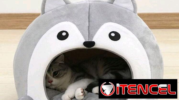 🔴 CASAS PARA PERROS PEQUEÑOS O GATOS 🔴