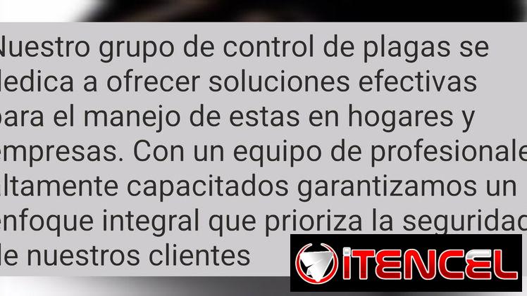Servicio de fumigación y exterminio de plagas