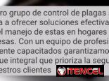 Fumigación Y Control De Plagas