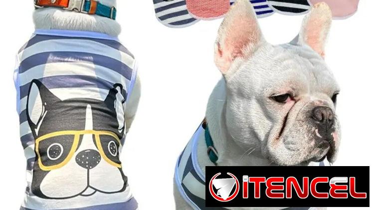 CAMISETA – ABRIGOS – CHUBASQUEROS PARA PERROS Y GATOS