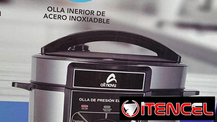 Olla reina. Mensajeria disponible