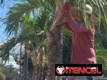 jardinería y Servicio de limpieza de exteriores