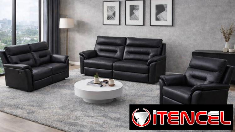 Juego de mueble de lujo