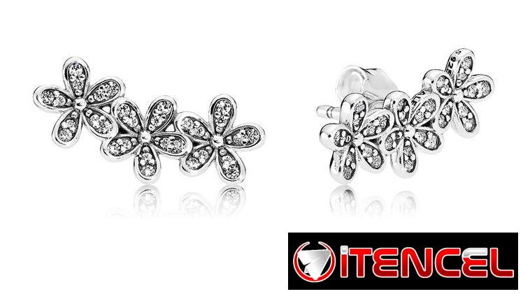 Aretes pandora