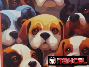 0fb2c2da216a06fa3aca46b452f8119f008f155b6fced20db63cfafa4a41729b