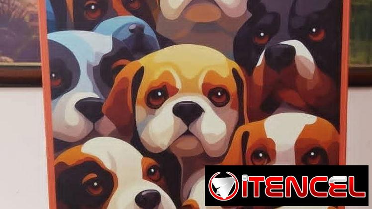 💢Rompecabezas de 300 piezas con temática de animales 💢