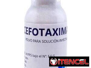 0fbfb8ade2f8c3d8942534a4c99a083e9fd7cc326d51540def691b97f2eef320