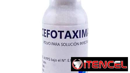 Cefotaxime Antibiótico Similar del Rosephin