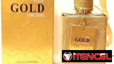 Perfumes Originales y Réplicas de Primera