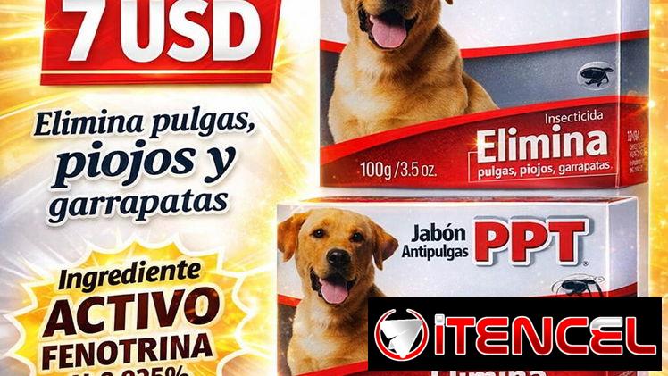 Accesorios para mascotas