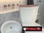 Tasa de baño con tanque y lavamanos de pedestal