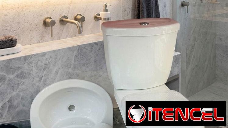 Tasa de baño con tanque y lavamanos de pedestal