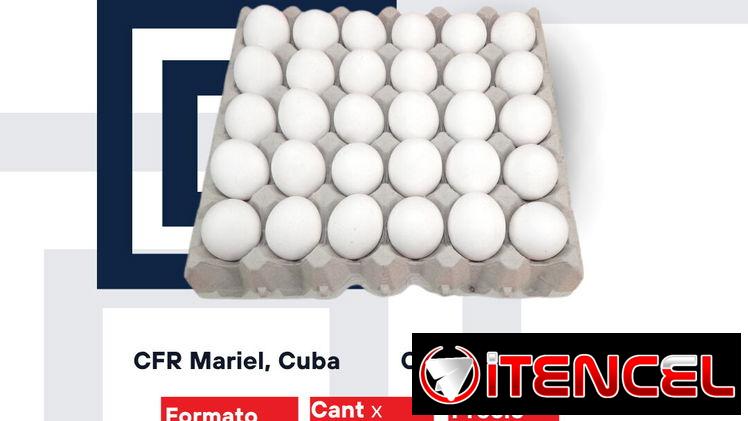 Huevo/ Cerdo / Aceite / Salchichas/ Cerveza / Ventas al por mayor