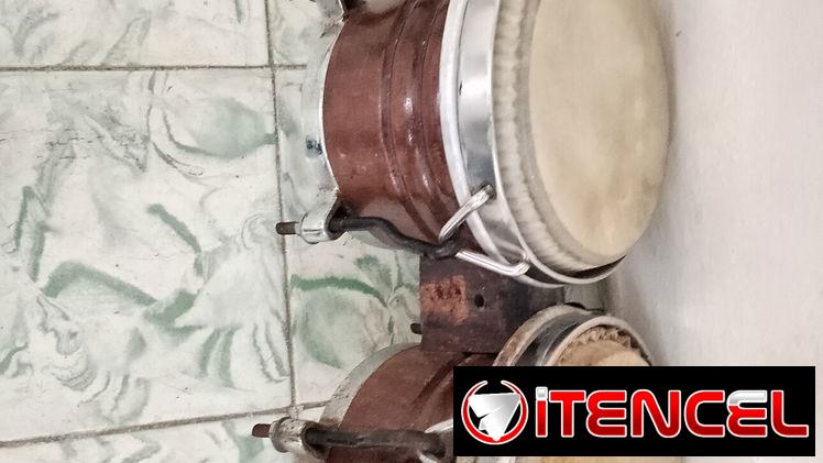 BONGO CON CAMPANA…