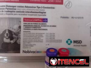 10ea0fa192f4fcd038da3df933cc647ceaa6e67e0988b32f6d058beacde3bb7f