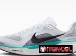 Zapatos de running Nike Pegasus #37.5