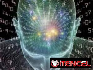 1133896823f07421654c6cca12db6cdbbee0579e4c849499b161ed2492e981f4