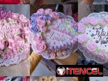 Panetelas grandes y medianas de corazón y normales 🎂🎂