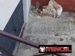 🏠Renta Lineal en La Habana /RENTA EN PLAYA | 11 y 82: Confort y Versatilidad 🚗