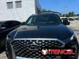 Vendo negocios Hyundai, palizada del 2021 callygrafhy