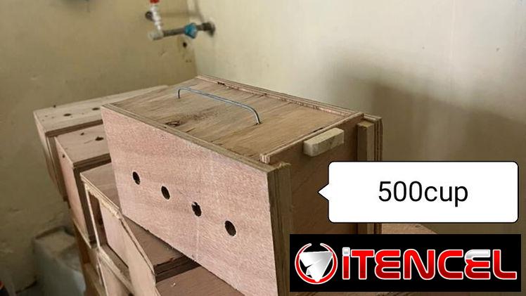 Transporte de madera